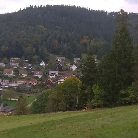 Schwarzwaldblick شقة *