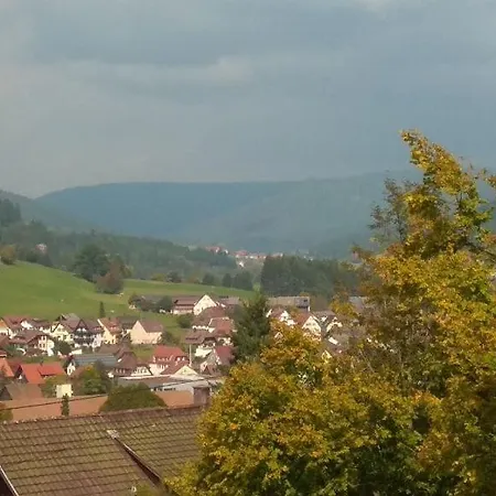شقة Schwarzwaldblick *