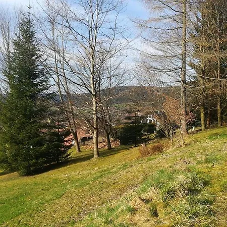 Schwarzwaldblick شقة بيرسبرون